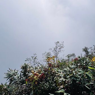 ここで雲湧くんかい☁️