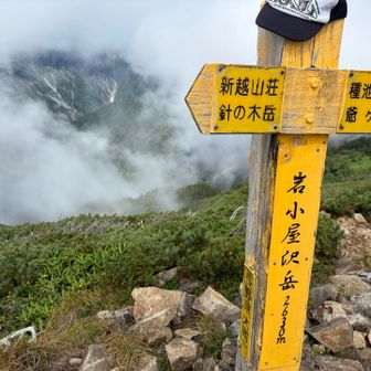 最後の山は岩小屋沢岳⛰️