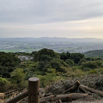 山頂手前の階段辺り、伐採されていて明るくなってます