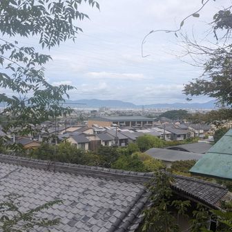 大吉山に登りながら