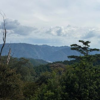 音羽山方面の稜線