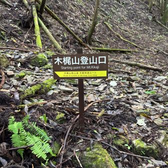 ここから短い急登を登り一気に稜線に取り付きます
