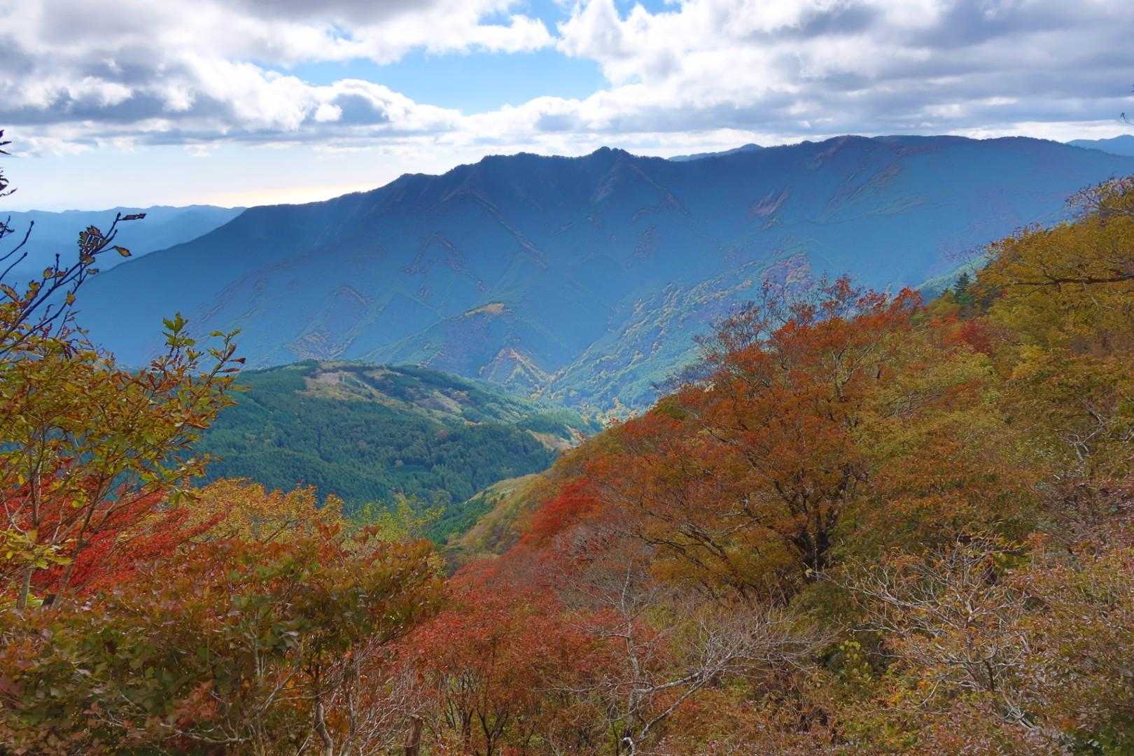 矢筈峠-土佐矢筈山 往復コースの写真