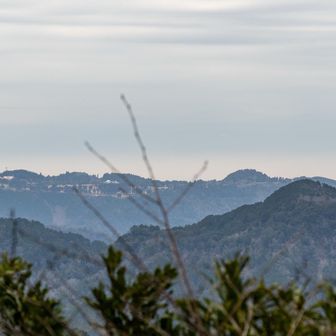 ちょこっと開けてます