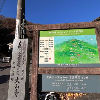 お久しぶりに来れました
