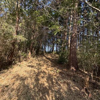 ちょっと大きな声で　さんぽ　を歌います
大概、山で怖い時はこの歌になる😅