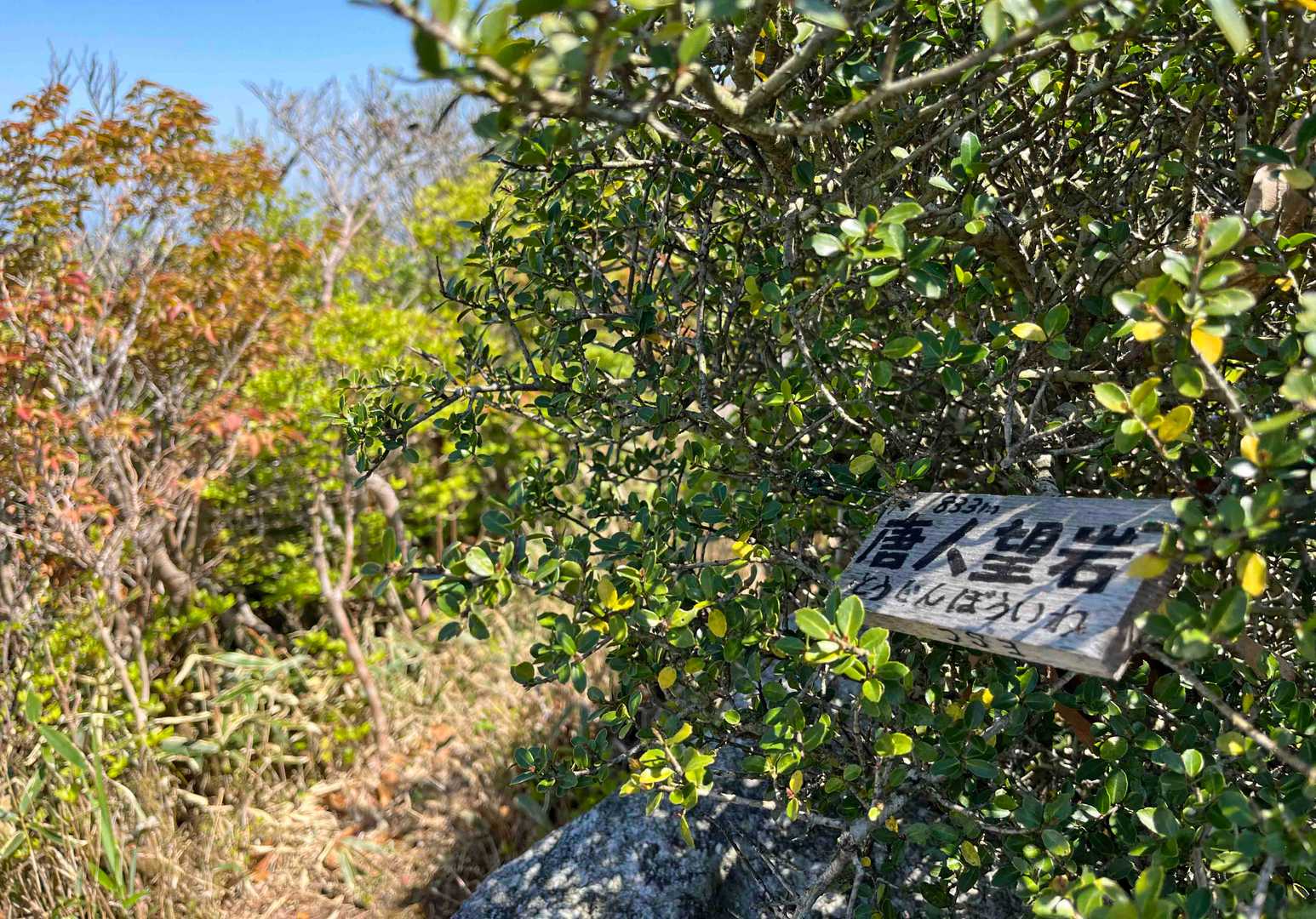 途中833ピークに登ると「唐人望岩」というプレートが！
ちょっと狭いけどイイ景色です