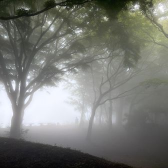 幻想的な風景