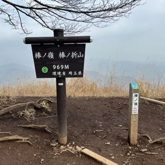 棒ノ折山　山頂