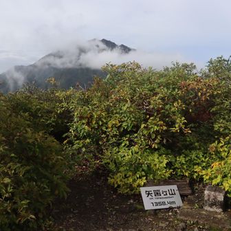矢筈ヶ山山頂（一等三角点・1358.3m）
大山を眺めながら、早い昼食。