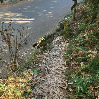 ゴール。
市営駐車場はかなりの混み具合でした。