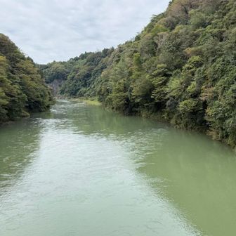 凄い水量。