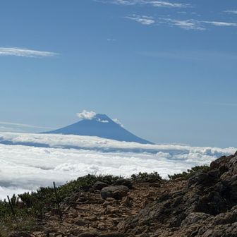 うわー　富士山🗻