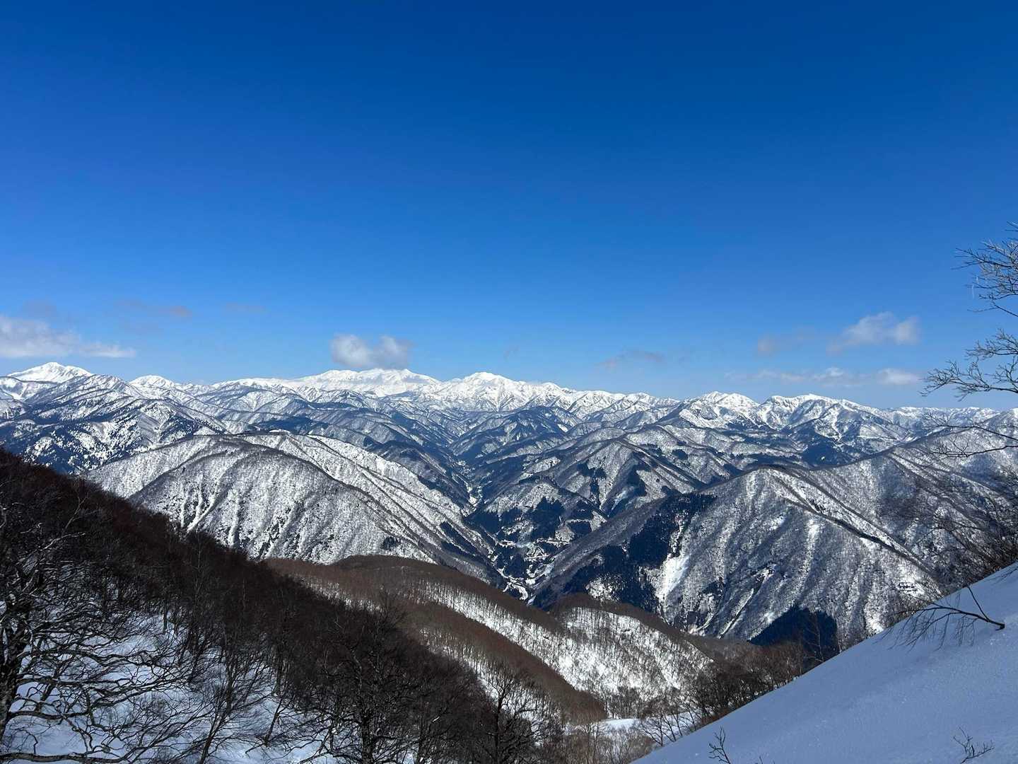 勝原コース | 旧スキー場を抜け、巨ブナの森、鎖場を越えて立つ「大野富士」の写真