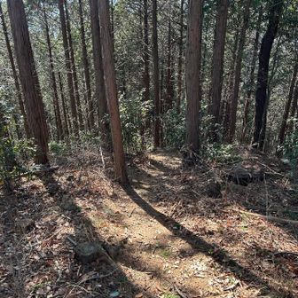 　　　　　標識からいきなり急勾配😥