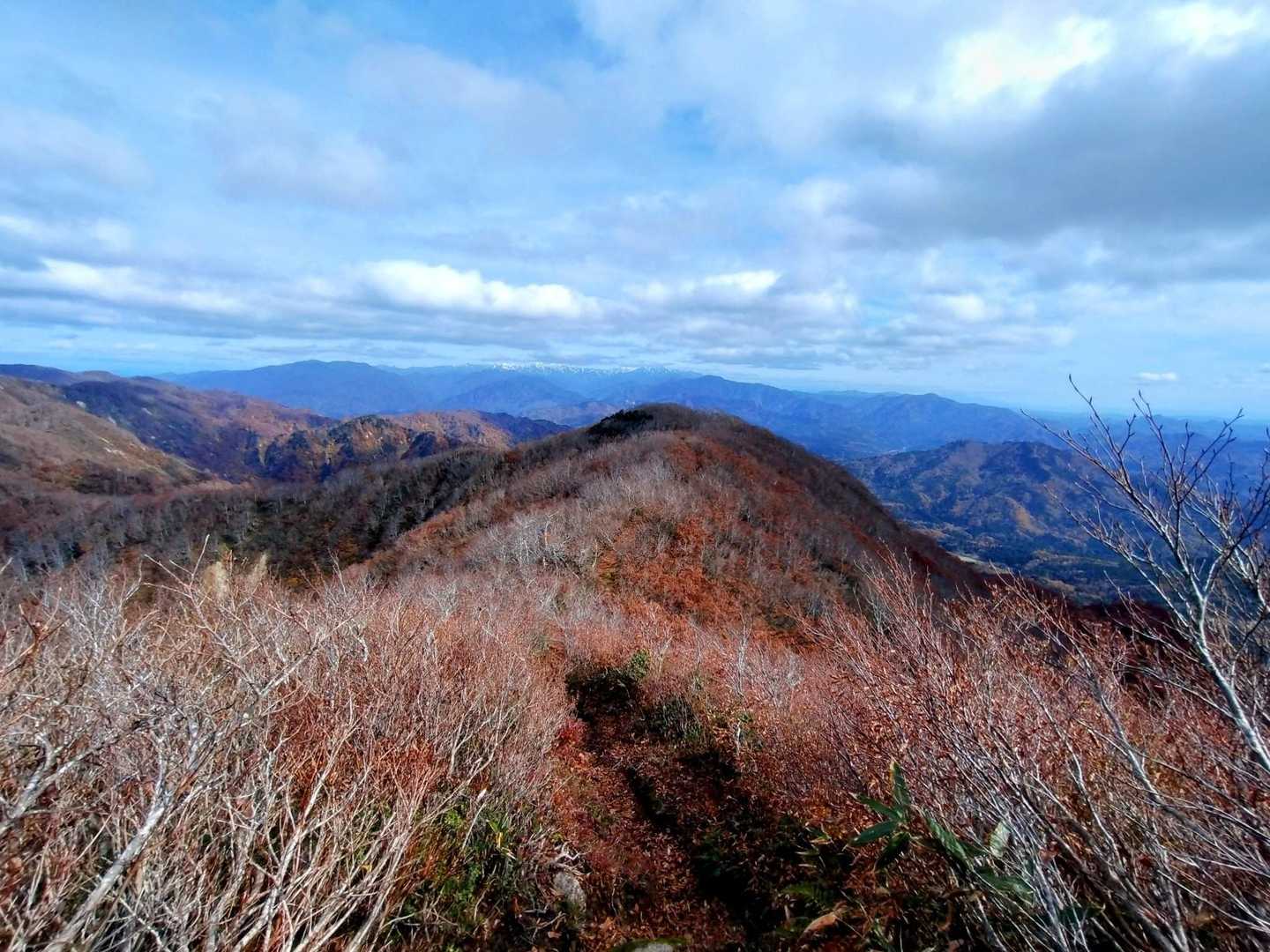 いつ来てもこの稜線歩きはたまらんです🤩