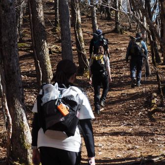 アレ？山頂まだだったかな？