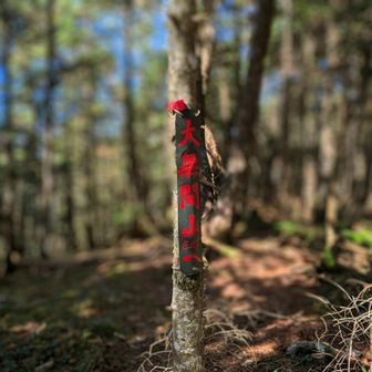中無間山頂にはまたEMCの大無間案内が。
ここですれ違った人とお話ししましたが田代からの日帰り往復なのだとか。
鋸歯そこまで怖くなかったそうです。
マジか😱