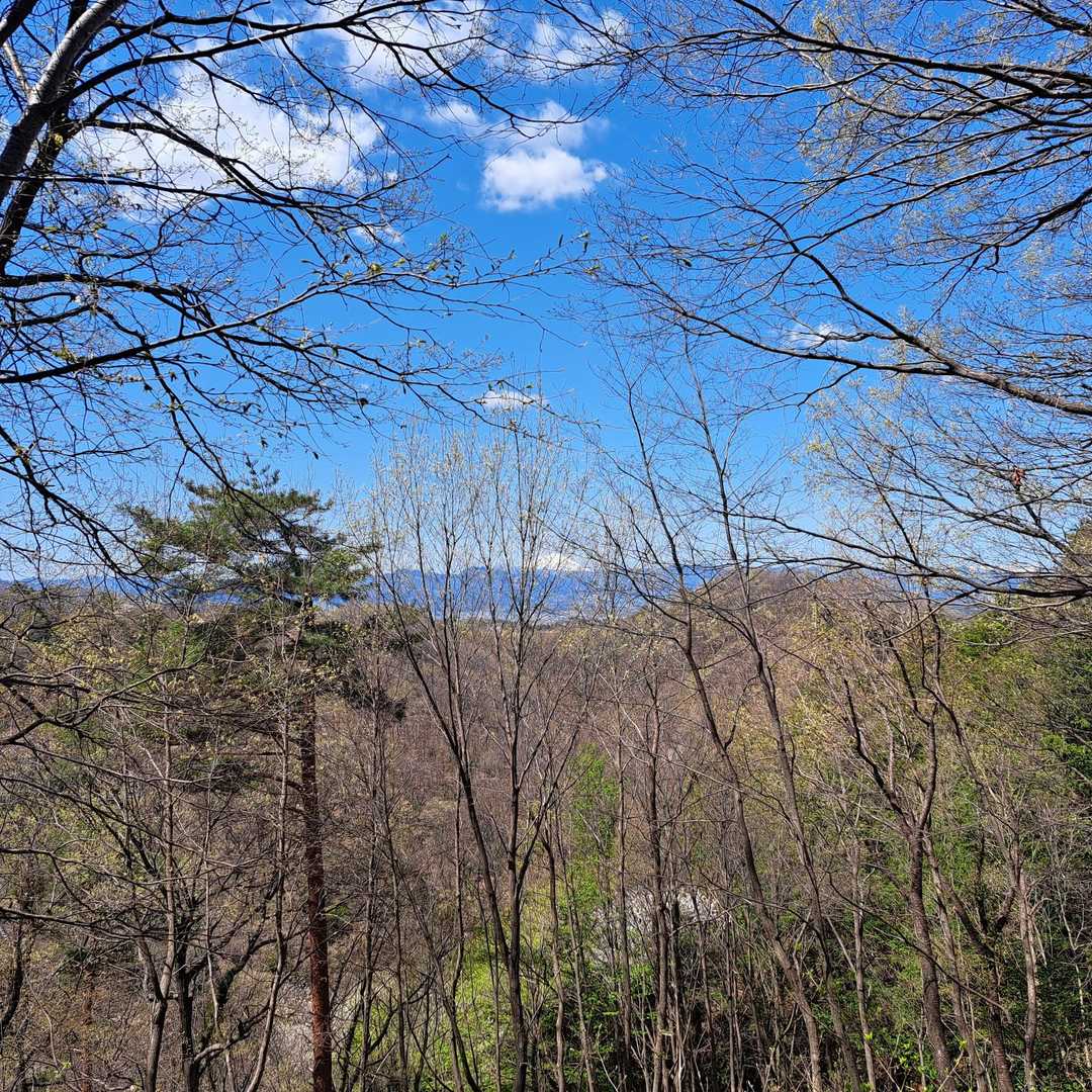 浅間山が見えてきました