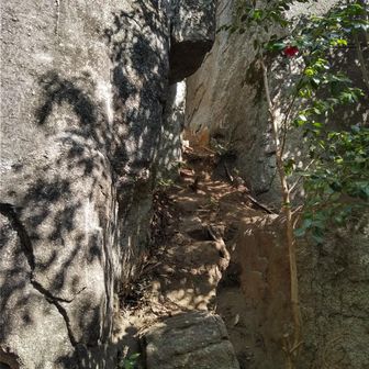 狭い岩場をグルグル散策