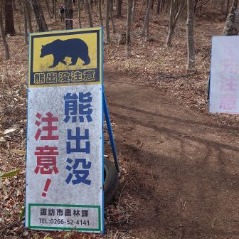 ここも出るよね

🐻出没 注意！