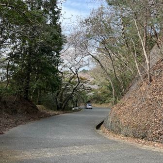 一旦大城林道に出て