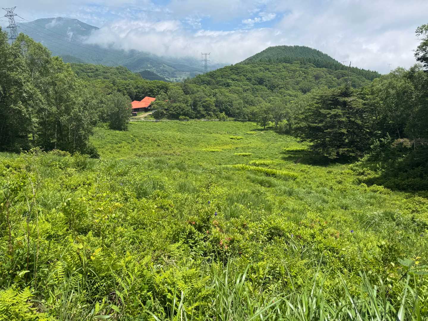 【フラット登山】ささやかでかわいらしい山梨の宝物・乙女高原の写真