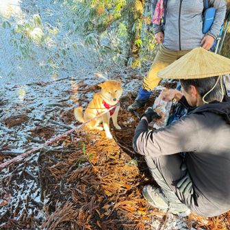 またブンタさんにおやつもらった～😋
いつもありがとう。