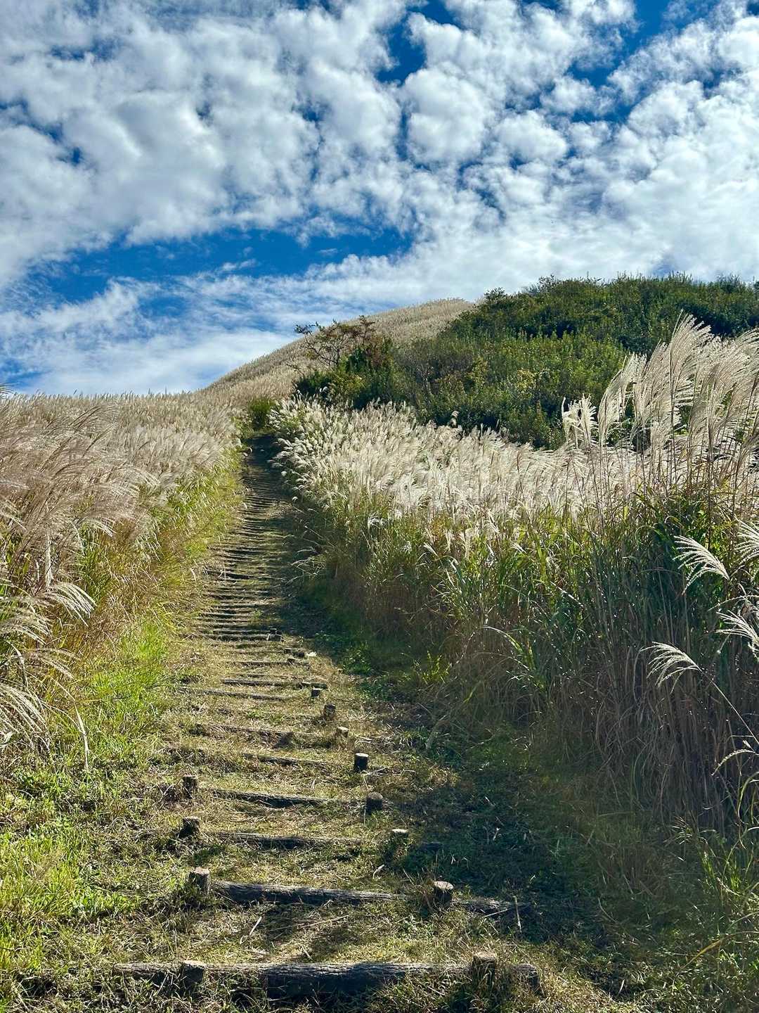 塩塚峰 周回コースの写真