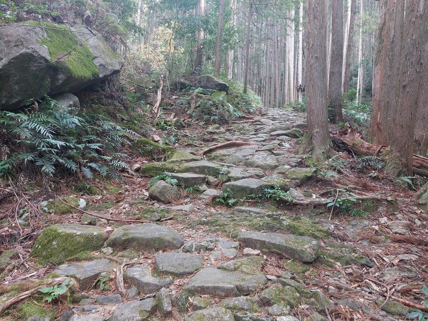 馬越峠-天狗倉山 往復コースの写真