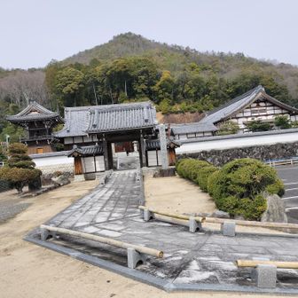 真禅寺、立派なお寺