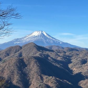 ここからはずっと富士山を横に見ながらで快適🗻