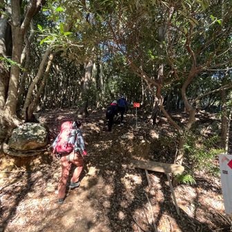 馬山より距離短い✨