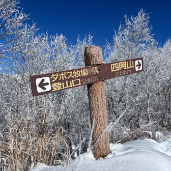 小四阿到着❣️

もう13時前💦
この後コースタイムで四阿山まで１時間半・
バス停まで５時間。→バス停18:00。
少し急いでも17:00⁈💦
はい、撤退決定。

日帰りコースタイム７時間半で10:00スタートは遅いですよね、甘かった。これもまた良い学びに🙏