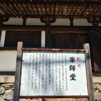 どこも登山道のすぐ横で、
見上げるとすごい迫力なんです