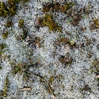 凍ってるけど、そんなに寒く無い。