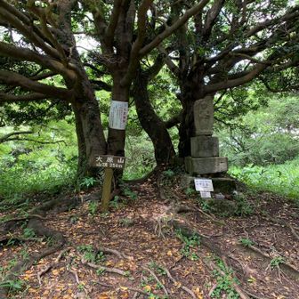 大原山山頂
忽然と山頂、路端にひっそり