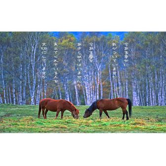 びたぽえ・ミンネ