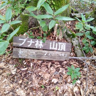 ちょっと寄ってみました
