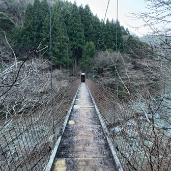 この先の登山道は通行止めのようですが、橋は渡れます