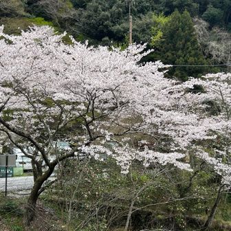 愛宕山の登山口駐車場🅿️ではないか❗️
軌跡が繋がるとは😊