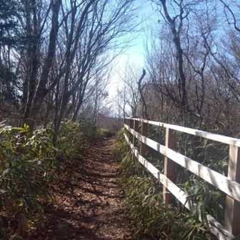 遊歩道続きます