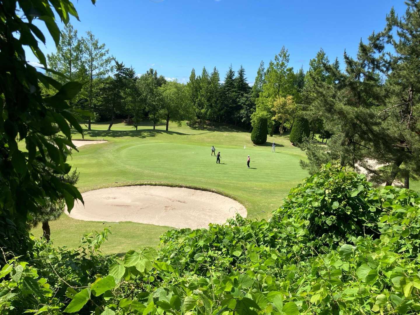 平日ゴルフ🏌️‍♀️⛳️とは優雅やのう