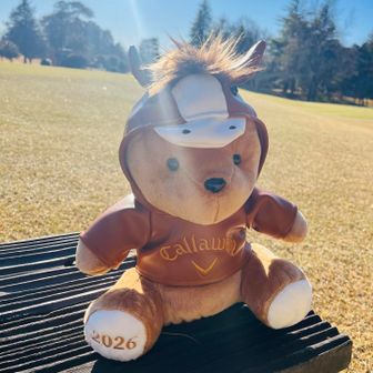 Jun ꕤ*.ﾟʕ•ᴥ•ʔ 