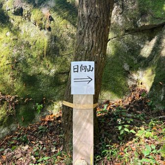 サクッと下山