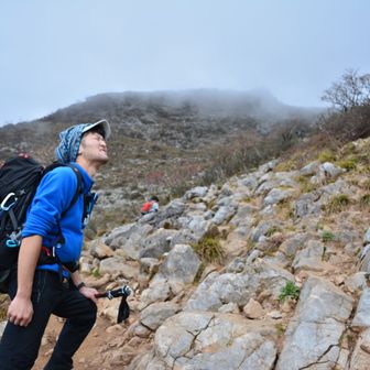 ﾗﾌﾟﾗｽﾂﾊﾞｻ