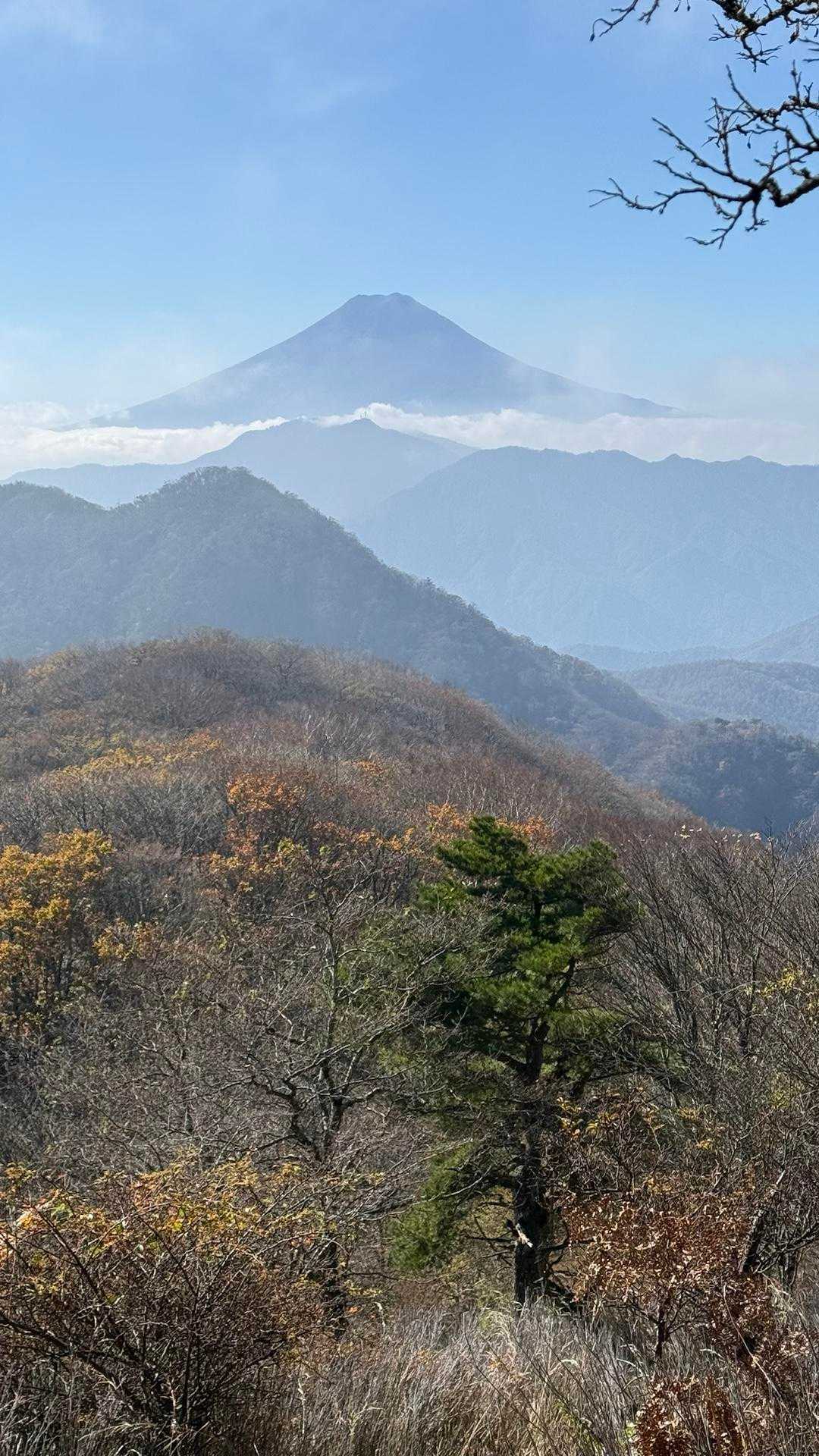 湯の沢峠-大蔵高丸-ハマイバ丸-米背負峠-大谷ヶ丸-コンド 縦走コースの写真