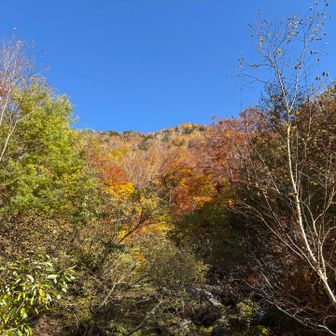 蒼空に映える紅葉