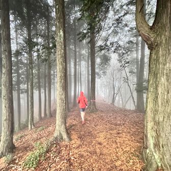 めちゃ走り良い箇所もあるよ🏃‍♂️