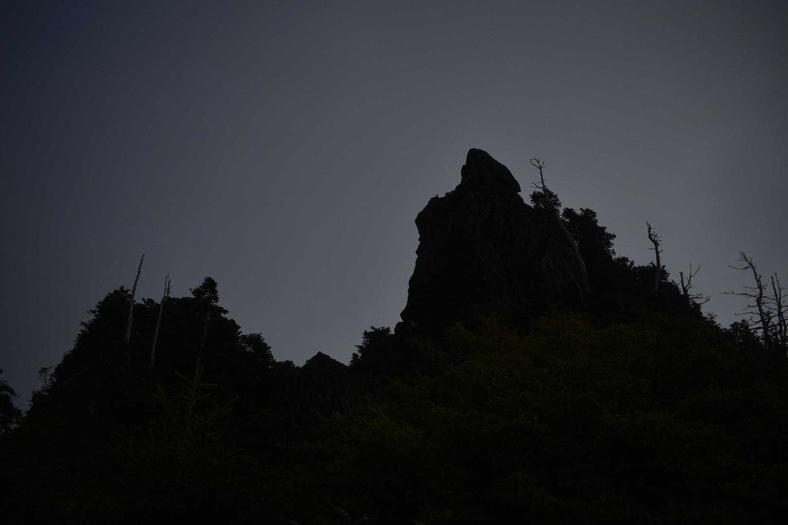 鯛のお頭もガス中です。